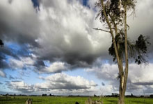 CBA：豪取九连胜 北京北汽队113-101天津男篮.