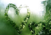 森林狼险胜快船终结4连败 魔术大胜篮网5连胜.