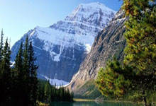 森林狼险胜快船终结4连败 魔术大胜篮网5连胜.