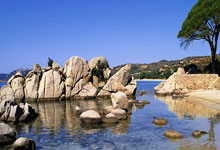 博洛尼亚官方：卡拉布里亚左脚踝扭伤，预计缺阵3周时间.：pg游戏